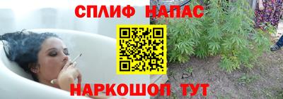 спиды Пугачёв