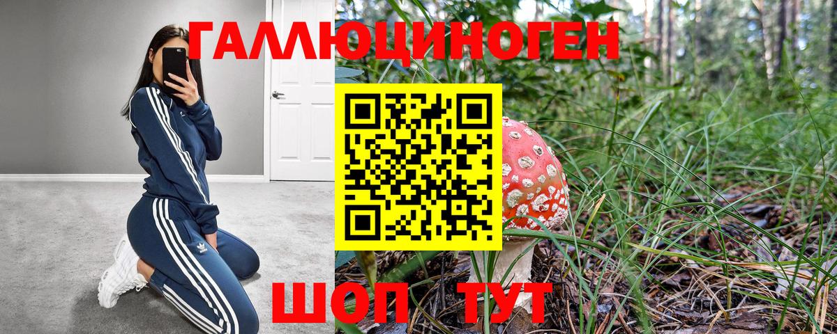Галлюциногенные грибы Psilocybine cubensis  Вход с VPN  Алексеевка 