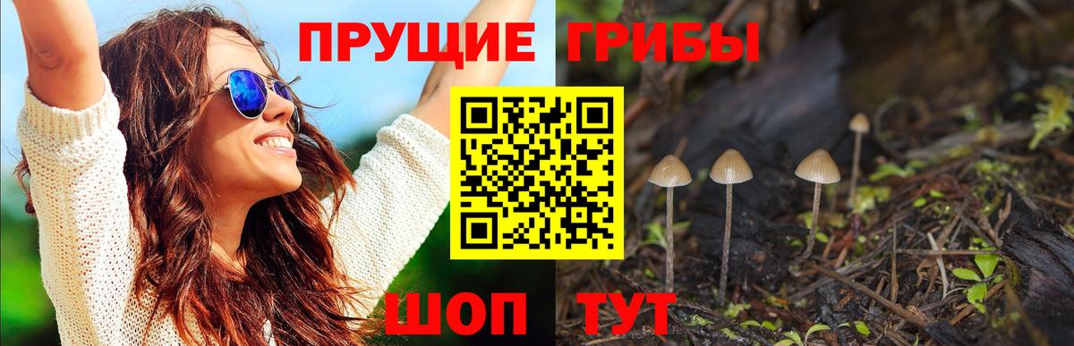 Галлюциногенные грибы мухоморы Алексеевка